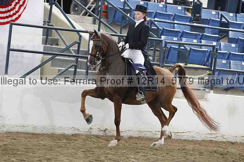 Proof 12r14_5779