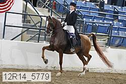 12r14_5779 proof
