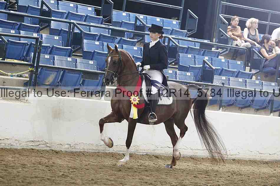 Proof 12r14_5784