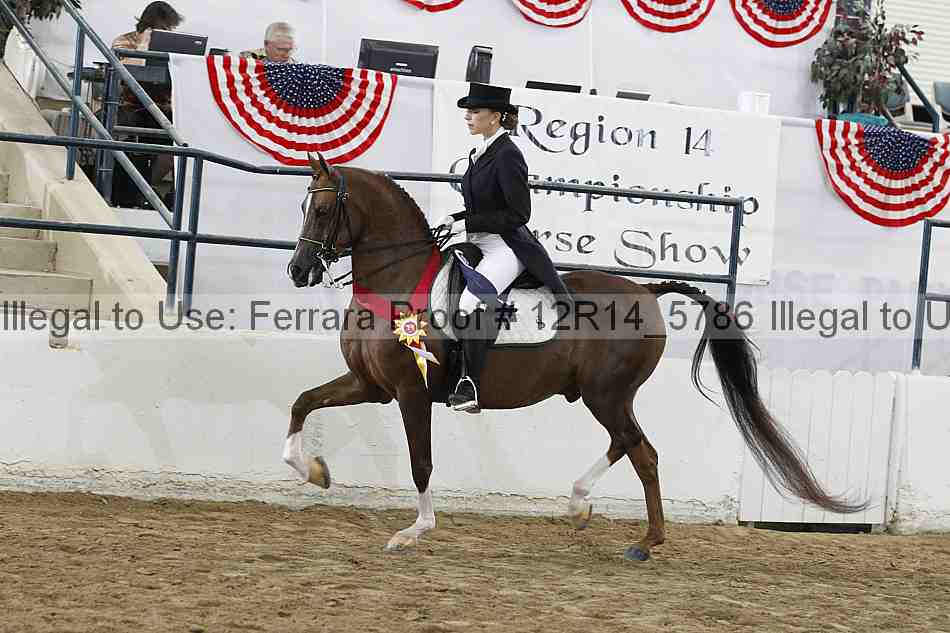 Proof 12r14_5786