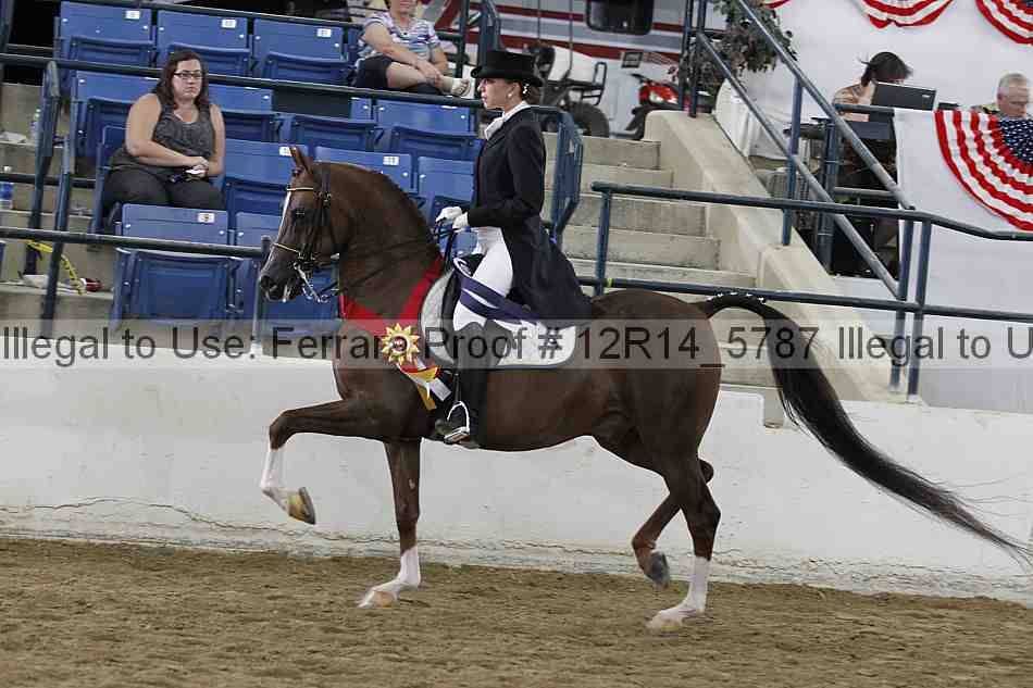 Proof 12r14_5787