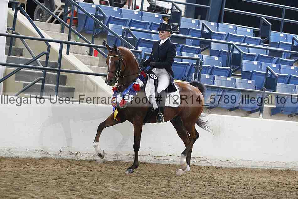 Proof 12r14_5789