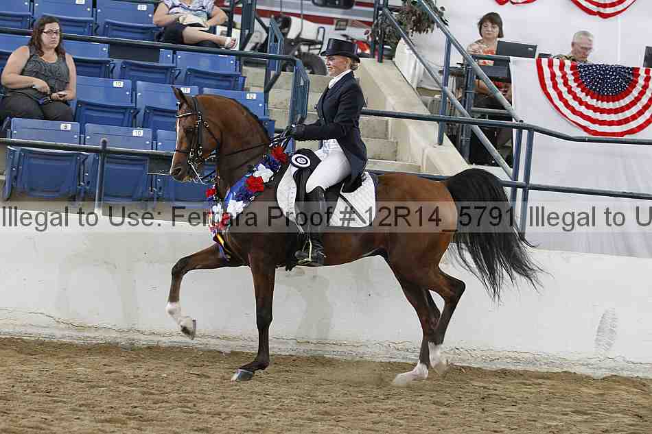 Proof 12r14_5791