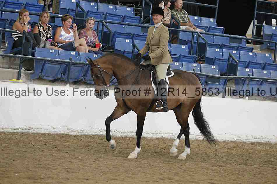 Proof 12r14_5853