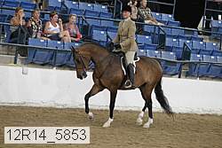 12r14_5853 proof