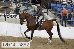 12r14_5862 proof