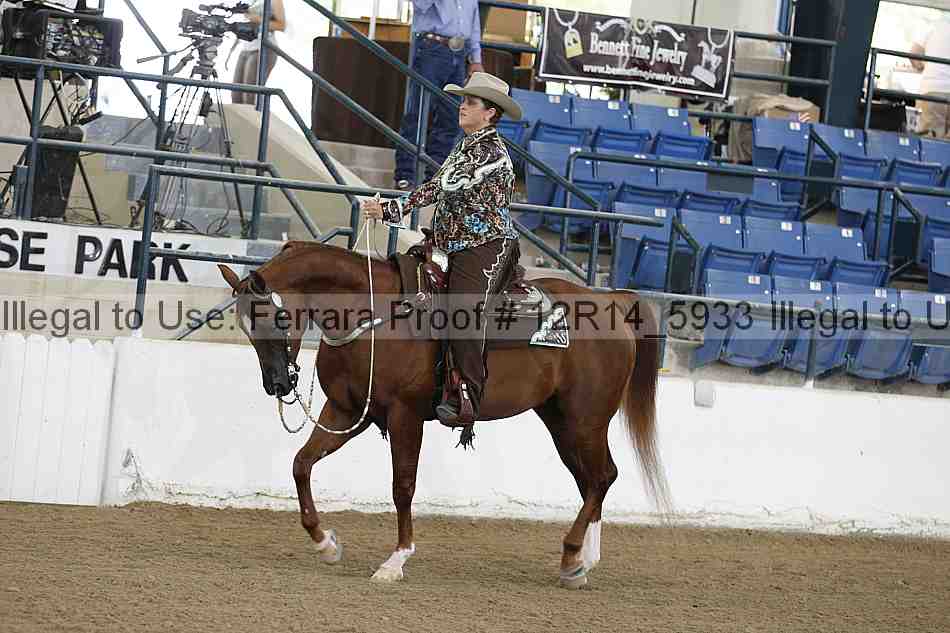 Proof 12r14_5933