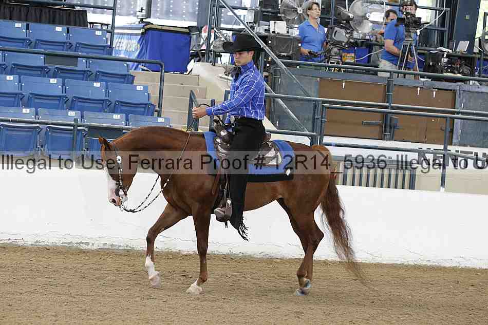 Proof 12r14_5936