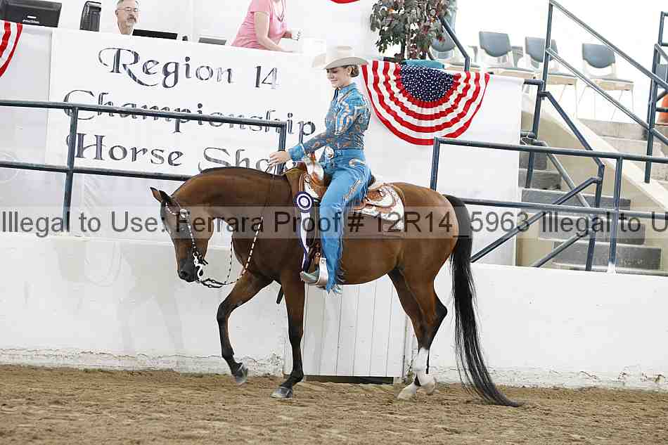 Proof 12r14_5963