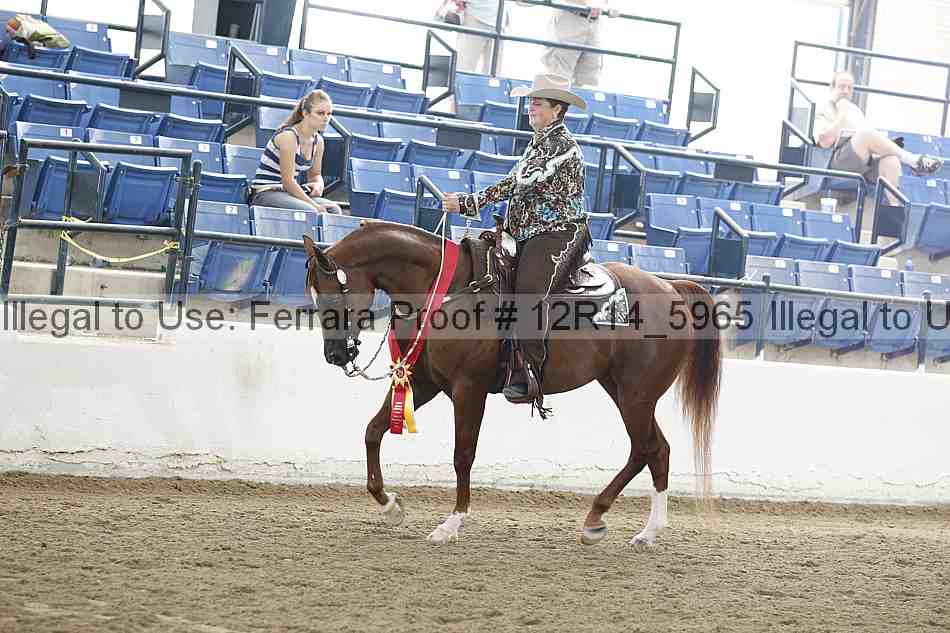 Proof 12r14_5965