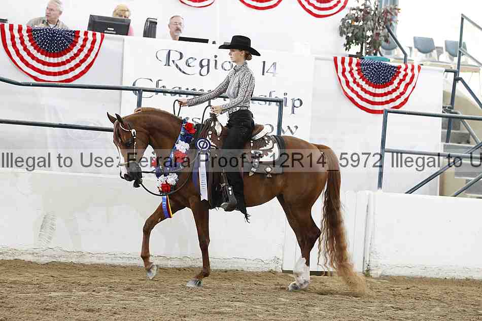 Proof 12r14_5972