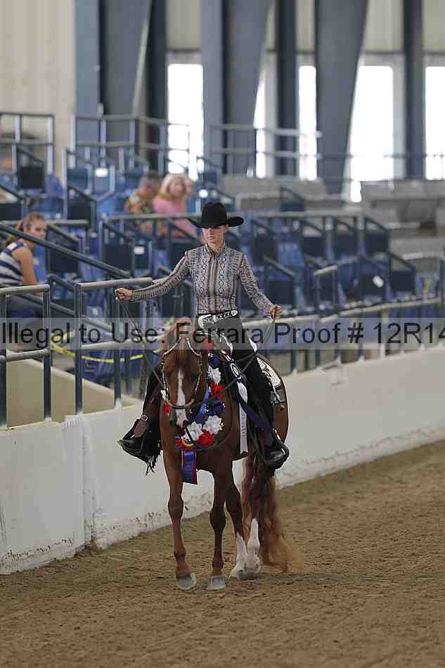 Proof 12r14_5976
