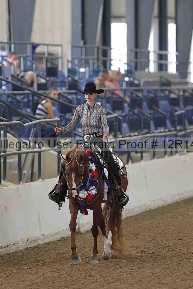 Proof 12r14_5977