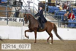 12r14_6077 proof