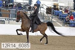 12r14_6085 proof