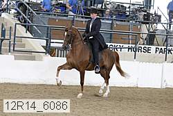 12r14_6086 proof