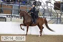 12r14_6091 proof