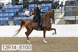 12r14_6100 proof
