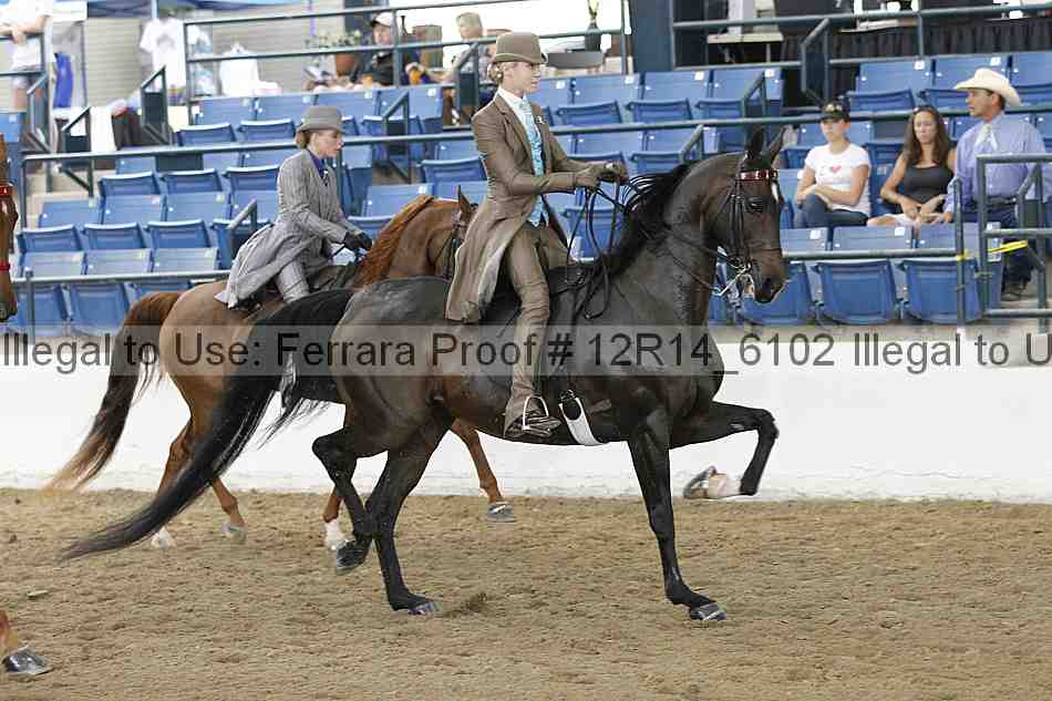 Proof 12r14_6102