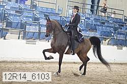 12r14_6103 proof