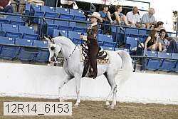 12r14_6153 proof