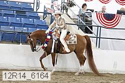 12r14_6164 proof