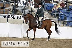 12r14_6172 proof