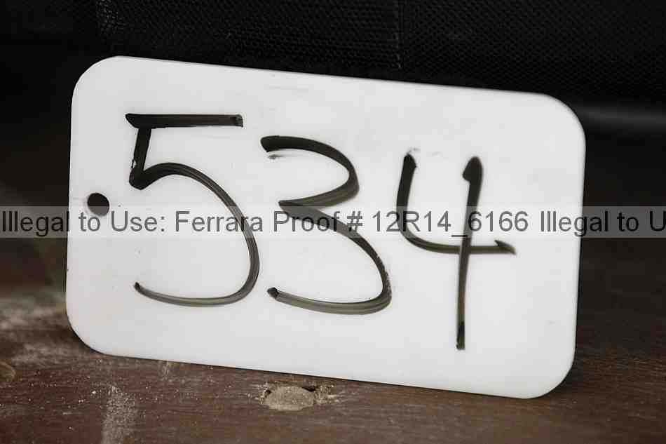 Proof 12r14_6166
