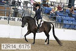 12r14_6175 proof