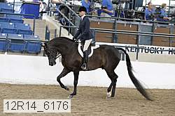 12r14_6176 proof