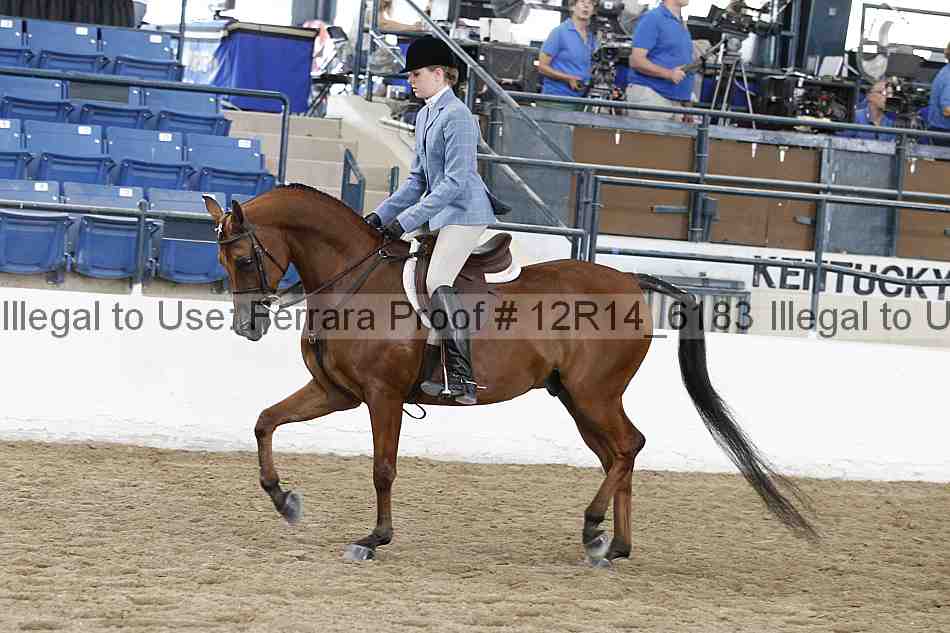 Proof 12r14_6183