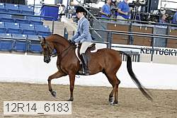 12r14_6183 proof
