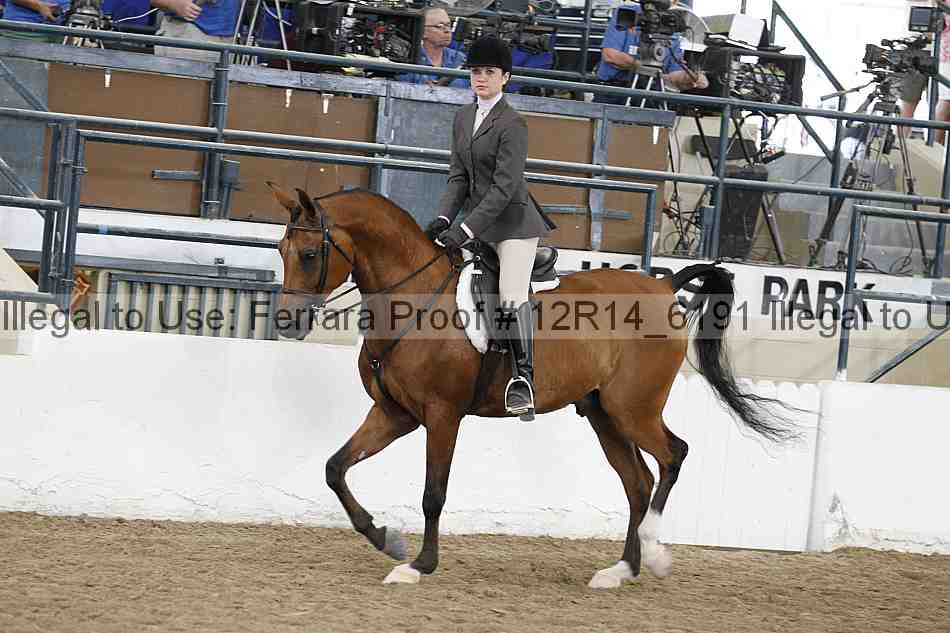 Proof 12r14_6191