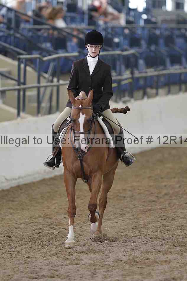Proof 12r14_6201