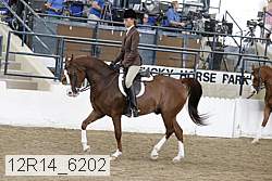 12r14_6202 proof