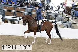 12r14_6207 proof