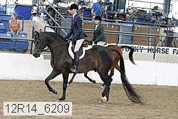 12r14_6209 proof