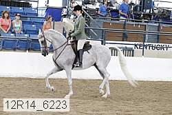 12r14_6223 proof