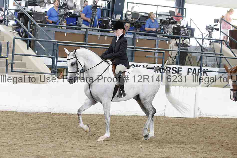 Proof 12r14_6231