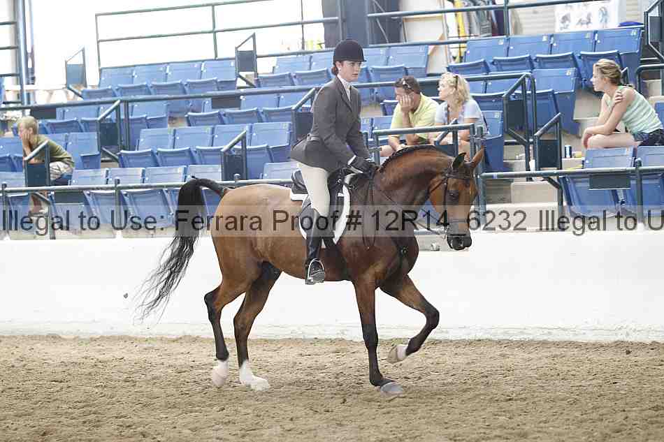 Proof 12r14_6232