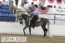 12r14_6283 proof