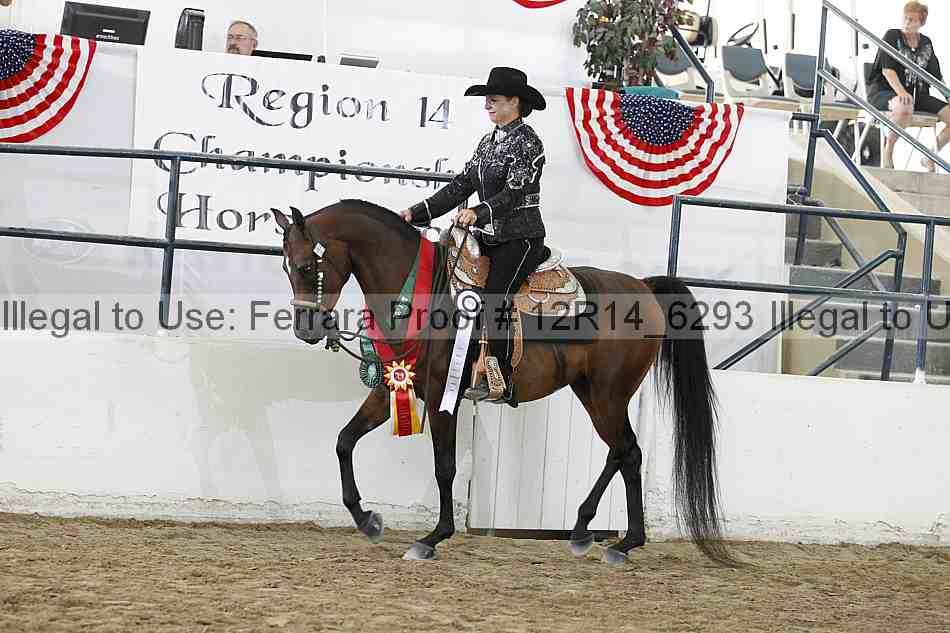 Proof 12r14_6293