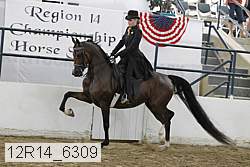 12r14_6309 proof