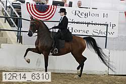 12r14_6310 proof