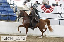 12r14_6312 proof