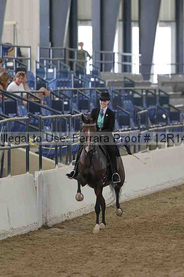 Proof 12r14_6331