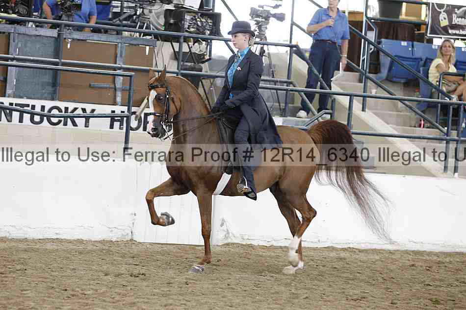 Proof 12r14_6340