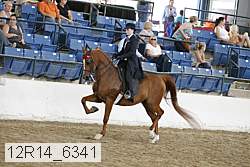 12r14_6341 proof