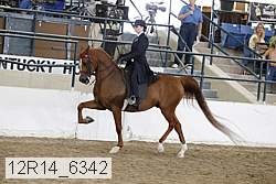 12r14_6342 proof