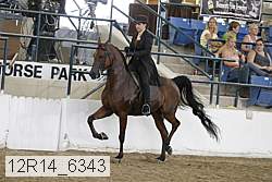 12r14_6343 proof